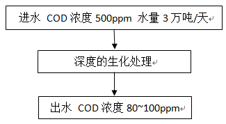 污水廠COD超標(biāo)現(xiàn)場